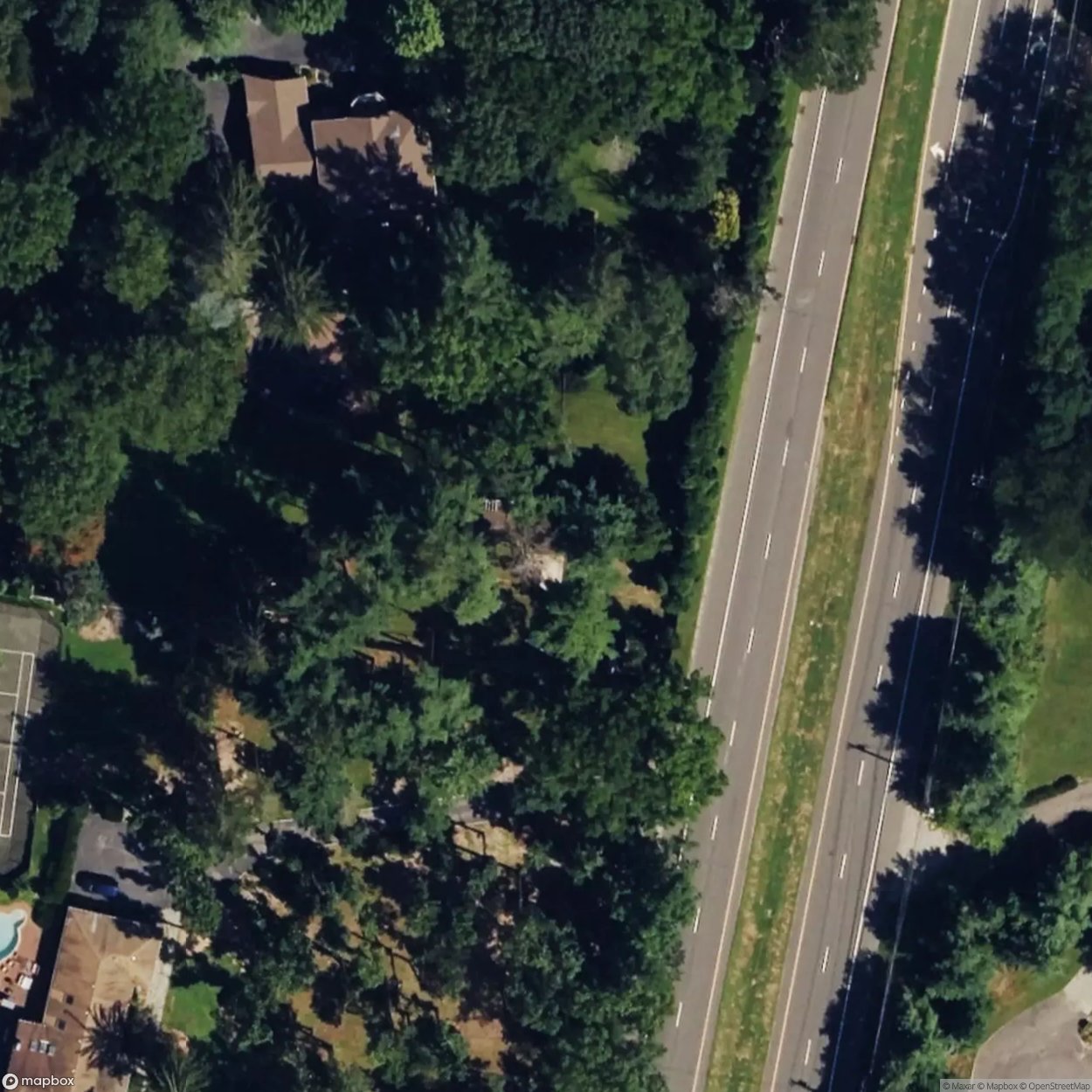King Zog's Mansion Ruins