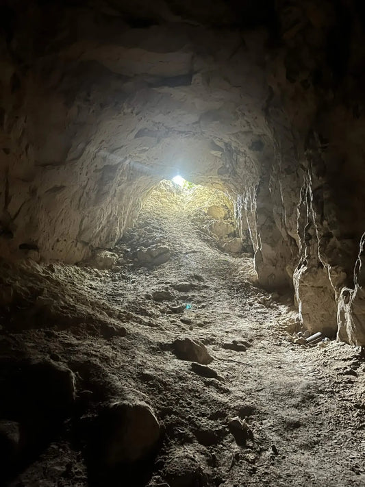 Ww Tunnel [BEL] #12147