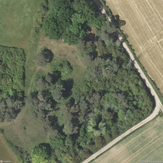 Ruins Euskirche [DEU]