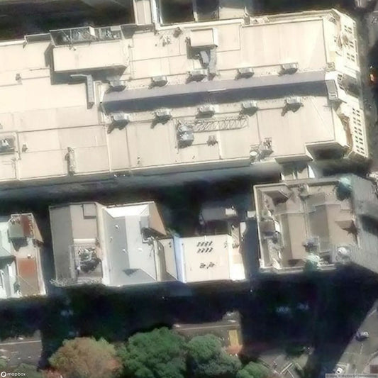 Blackwattles Evil Twin [AUS]