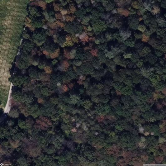 Cabin Reinmuth [DEU]