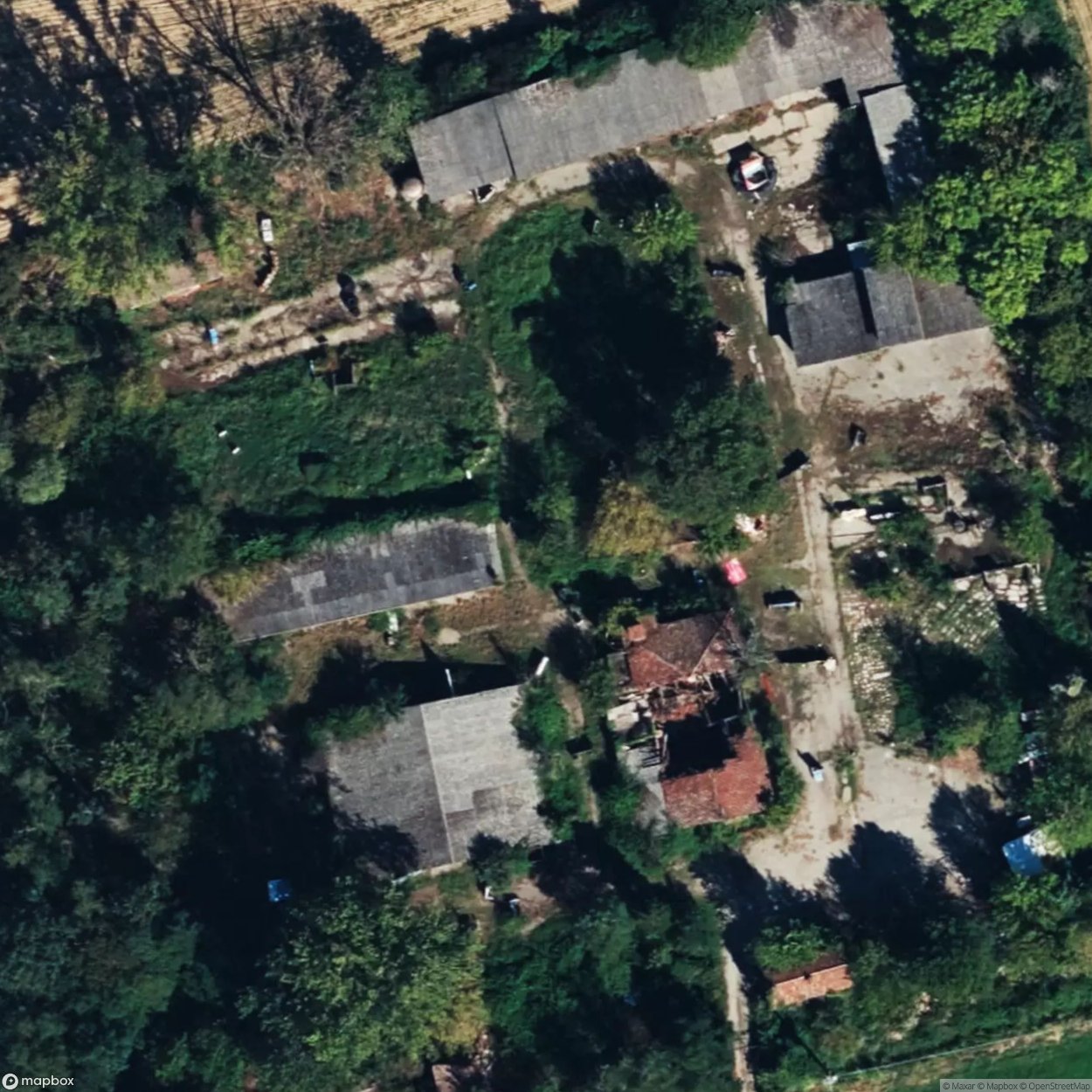 Black Wolf Softair - Furnace [ITA]