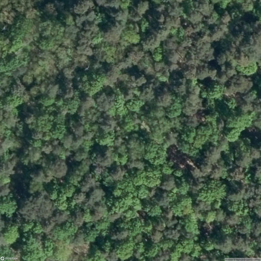 Field Hospital Tent [DEU]