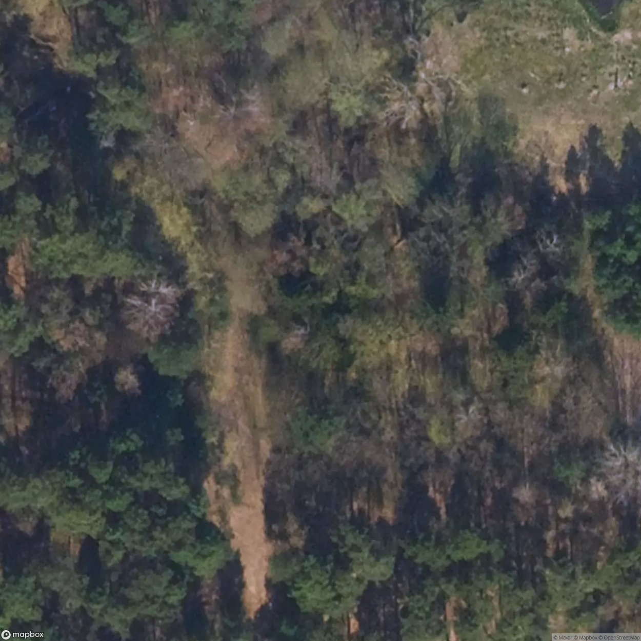 Wolfswinkel Cemetery [DEU]