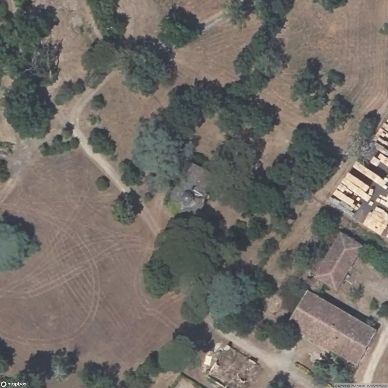 The Surgeon's Greenhouse [FRA]