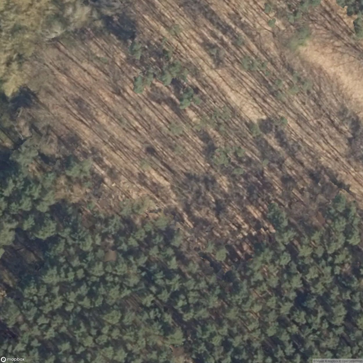 Vegetable Bunker [DEU]