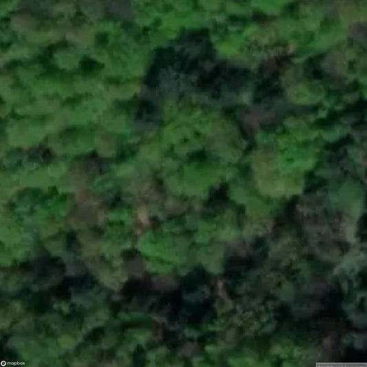 Lahnstein Miners' Cemetery [DEU]