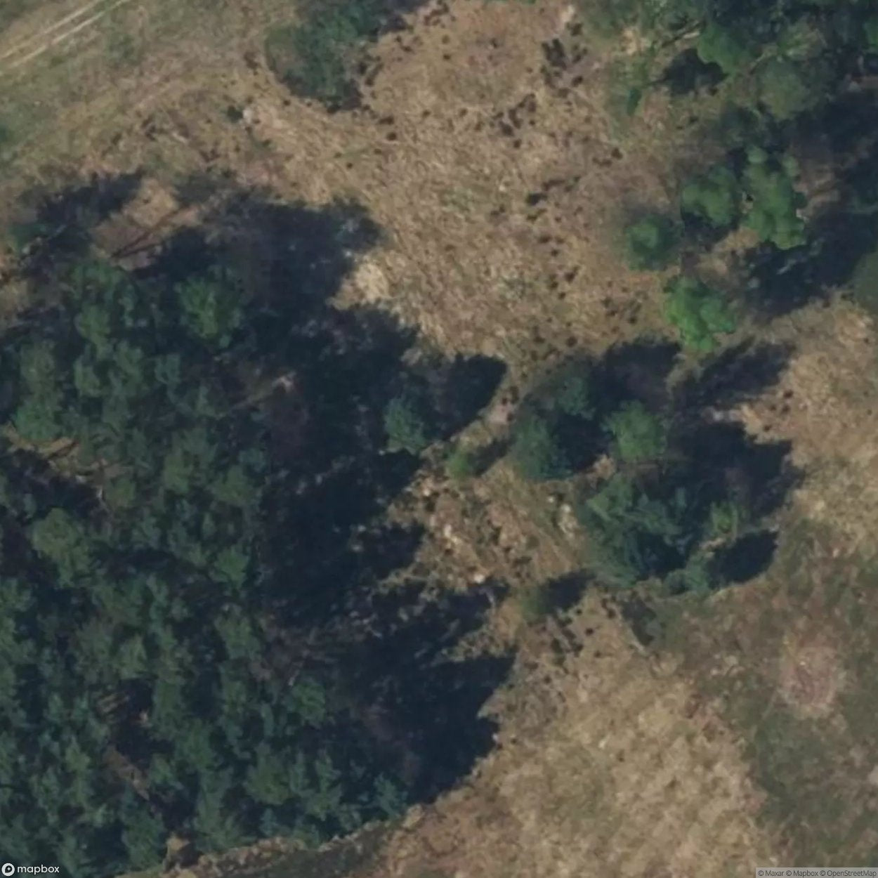 Bergen-Belsen Memorial [DEU]