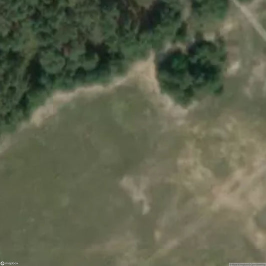Panzerwald [DUI]