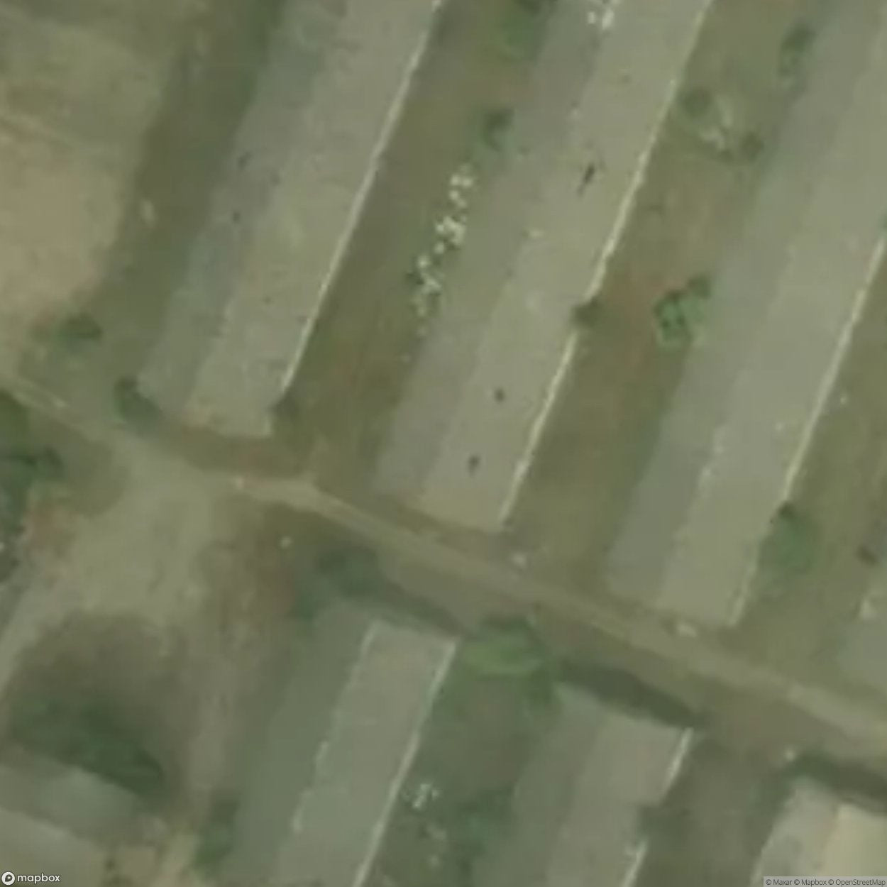 Studzieniec Site [POL] #33145