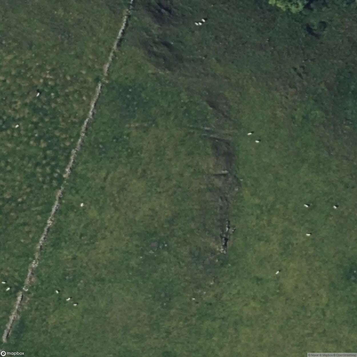 Standfast Colliery [GBR] #06605