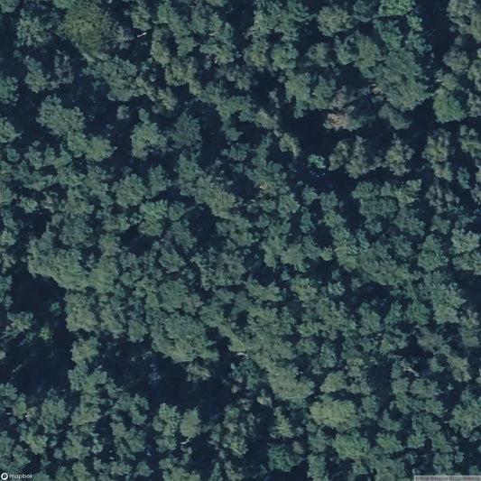 Besenhorster Sandberge und Elbsandwiesen [DUI]