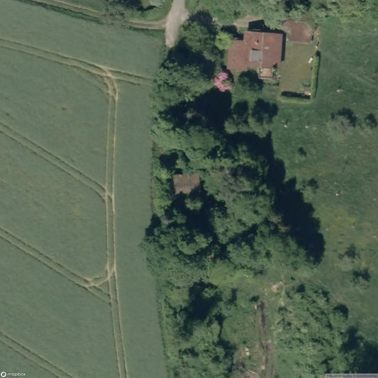 The Painter's House [DEU]