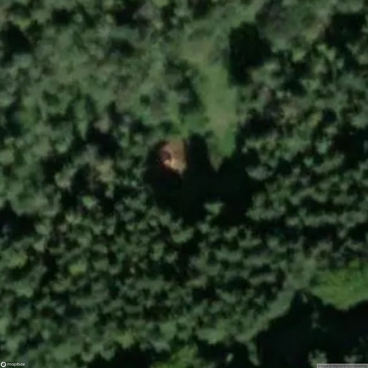 House in the Forest "Strieglhof" [DEU]