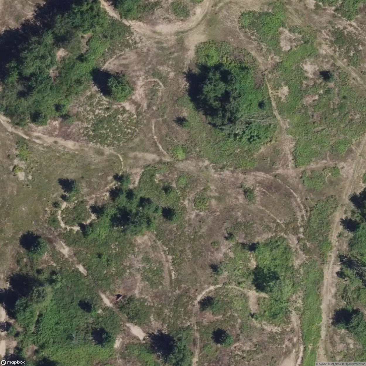 Field of Promise [ITA]