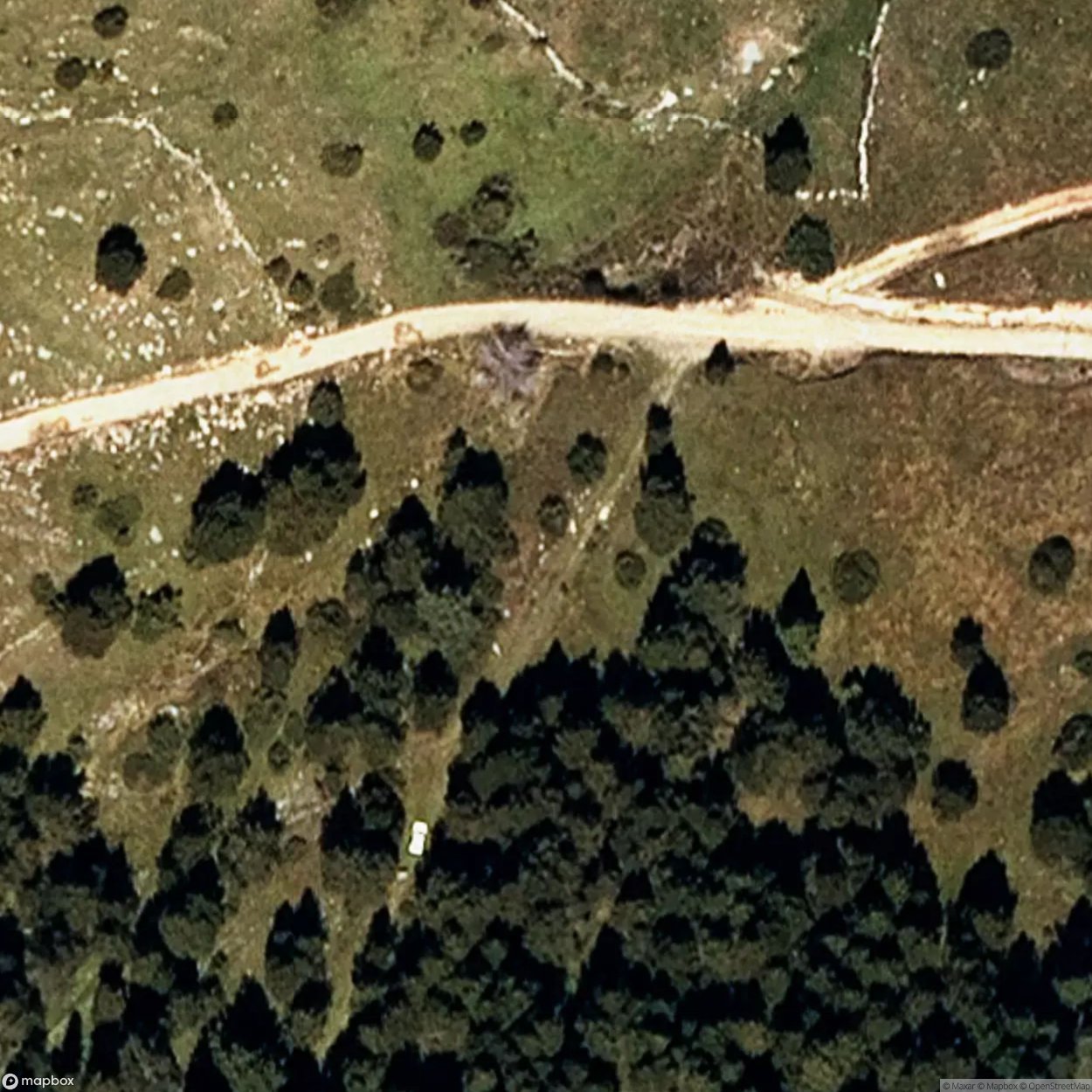 Bridge To Nowhere [ESP] #14384