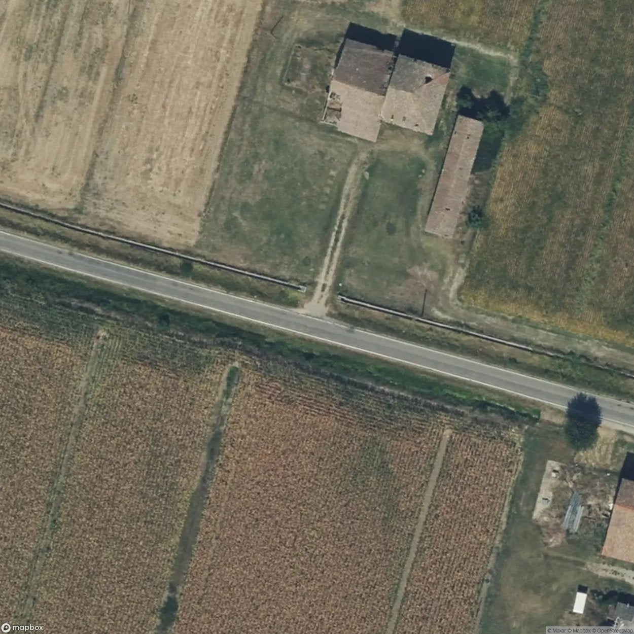 Farm 11 [ITA]
