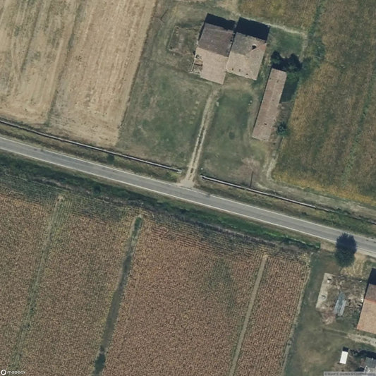Farm 11 [ITA]