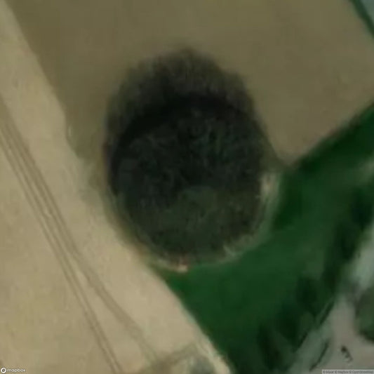 Glimes Tumulus [BEL]