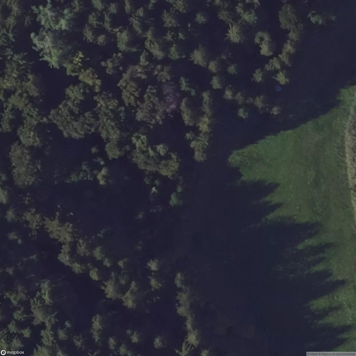 Little House in the forest [DEU]