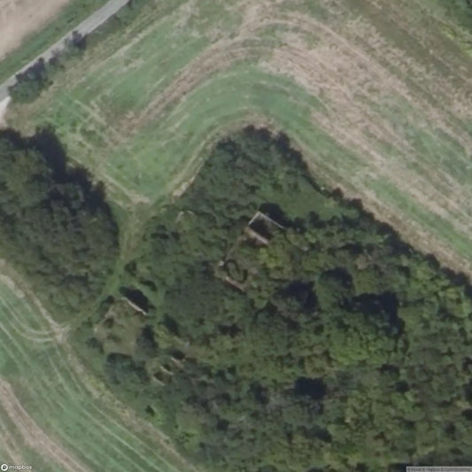 Cabbage Soup House / La Soupe aux Choux [FRA]