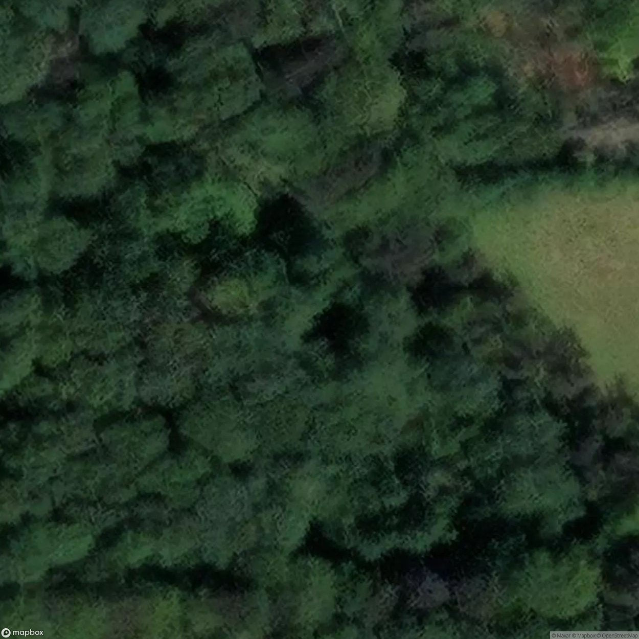 Twin Cottages [BEL] #04520