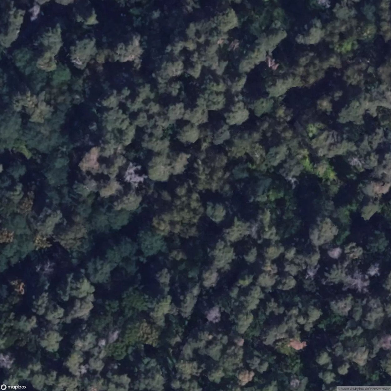 Military Base Waldheimat [DEU]