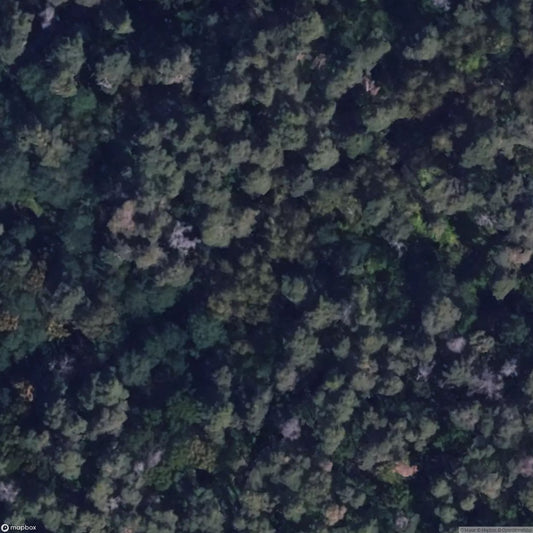 Military Base Waldheimat [DEU]