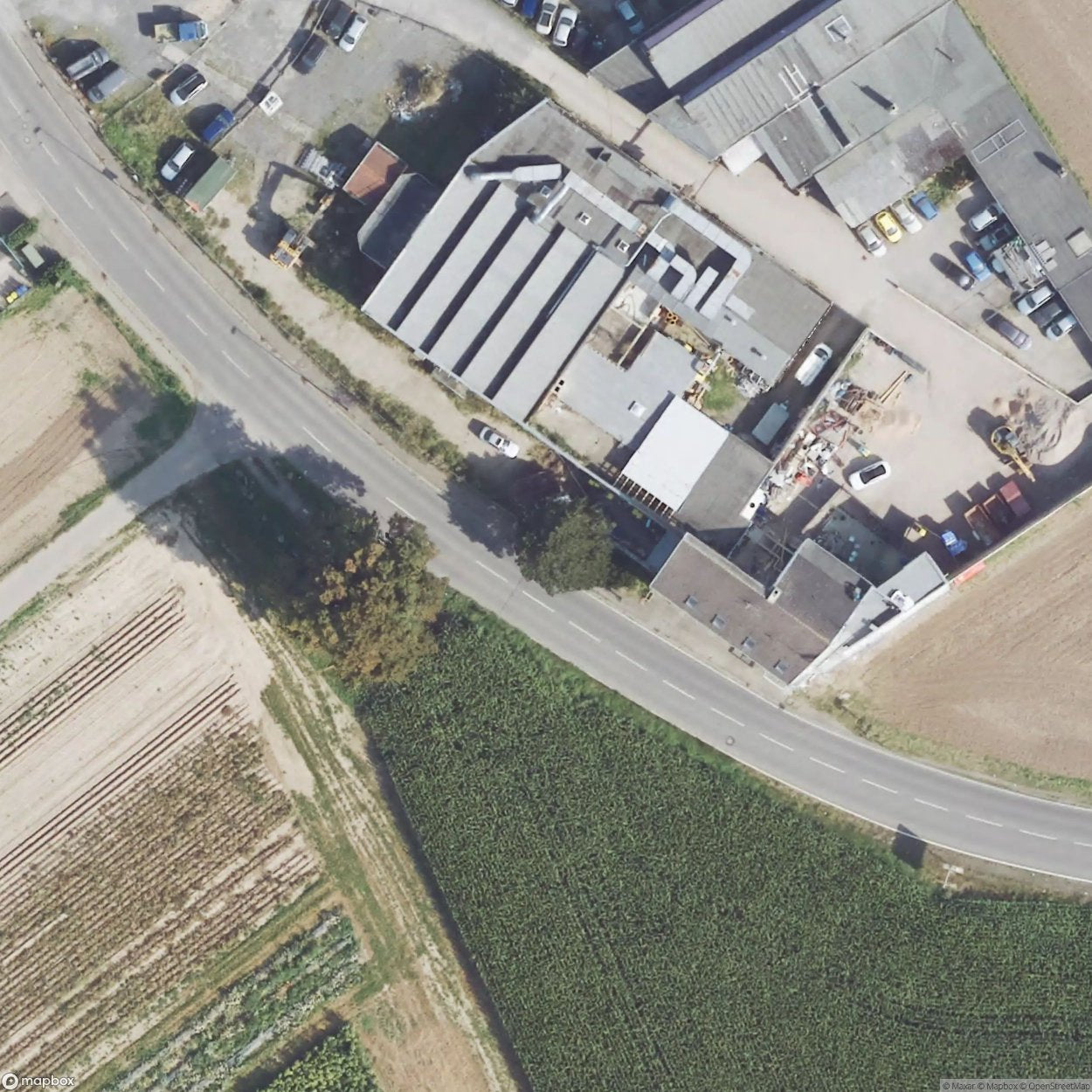 Merkener Alpenstern [DEU]