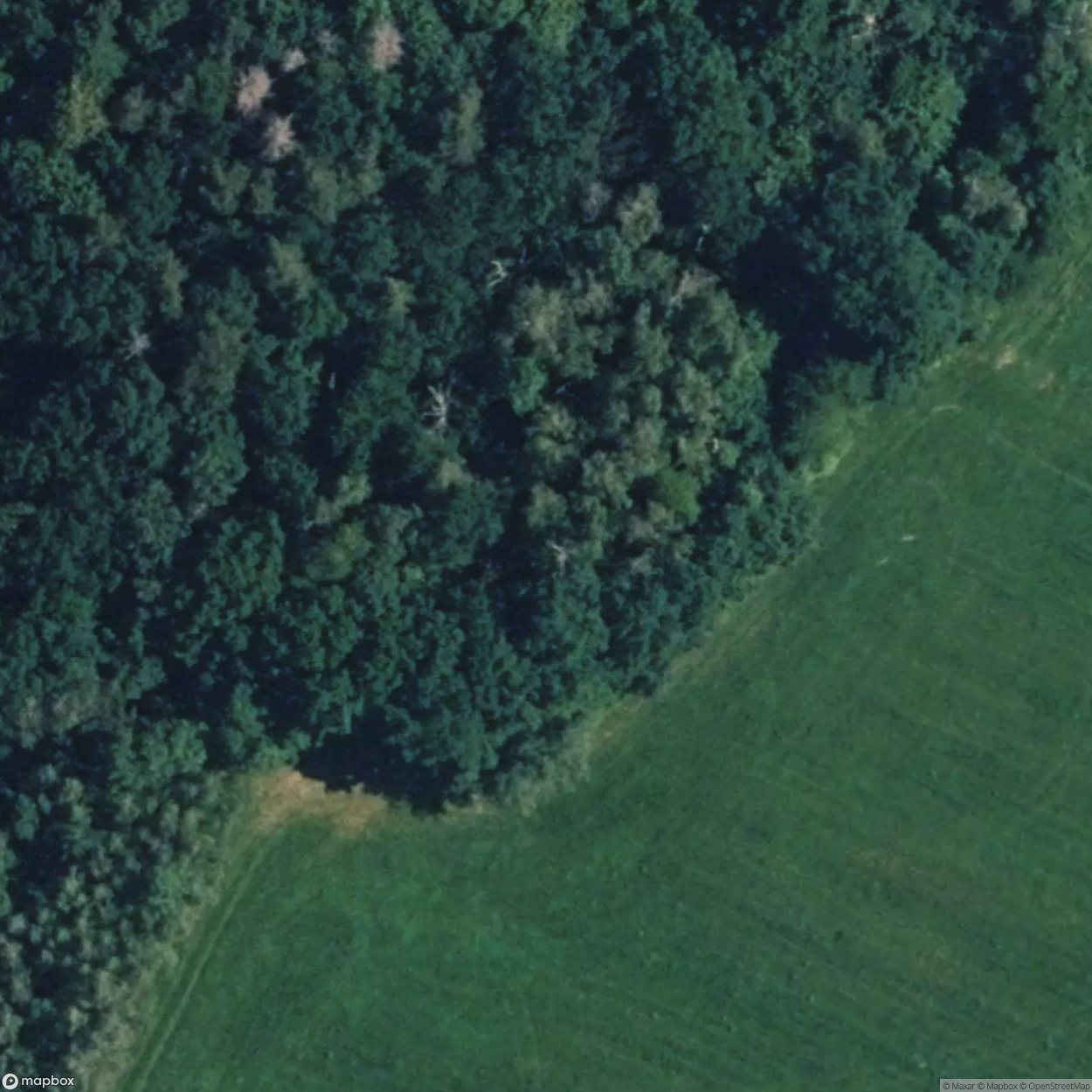 Beobachtungsbunker [DUI]