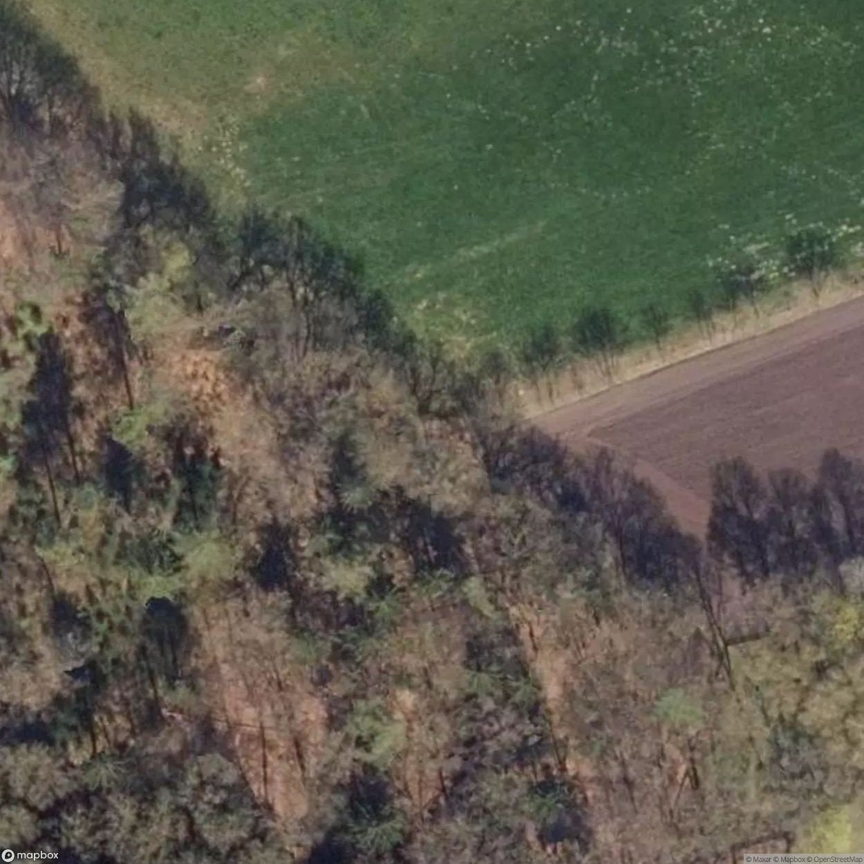 Jewish Cemetery 2 [DEU]