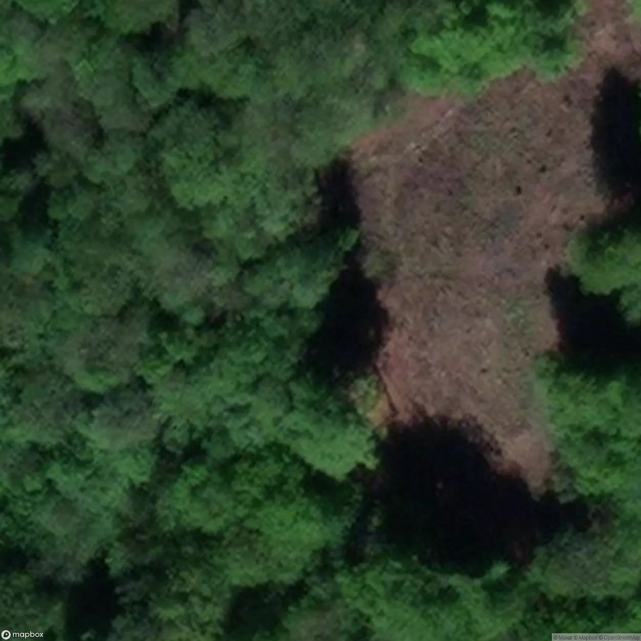 South Oakwood Levels [GBR]