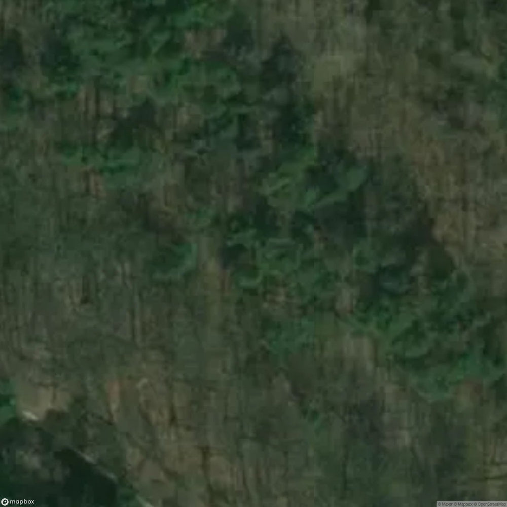 Abandoned Fort Sarbinowo Fort [POL] #32133