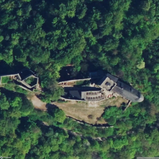 Burgruine 2408 [OOS]