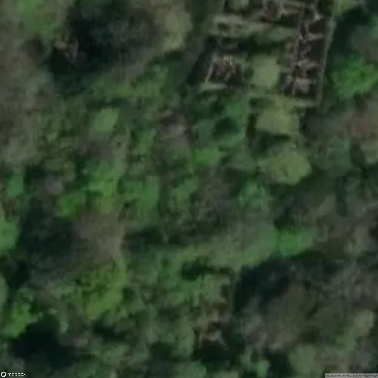 Baron Hill Mansion [GBR]