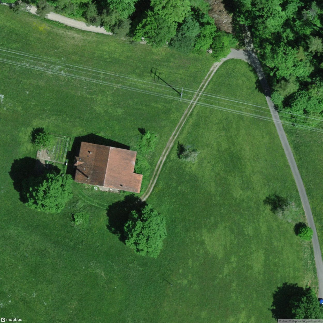 Cat Villa Elgg Zh [CHE] #01237