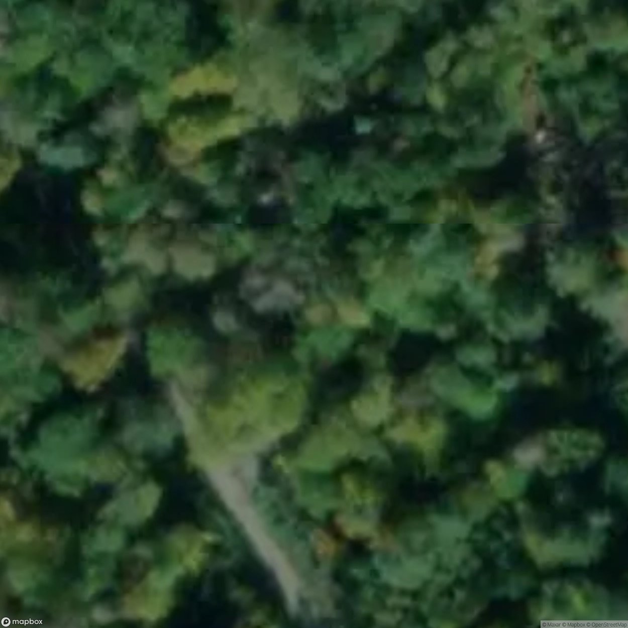 Multiple Bunkers in Forest [DEU]