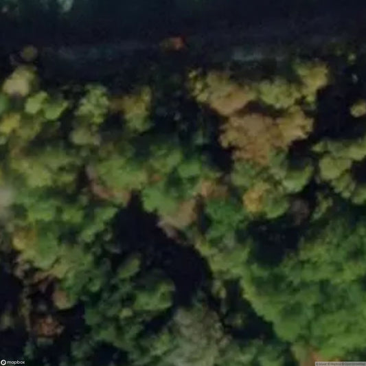 Camp Beechwood