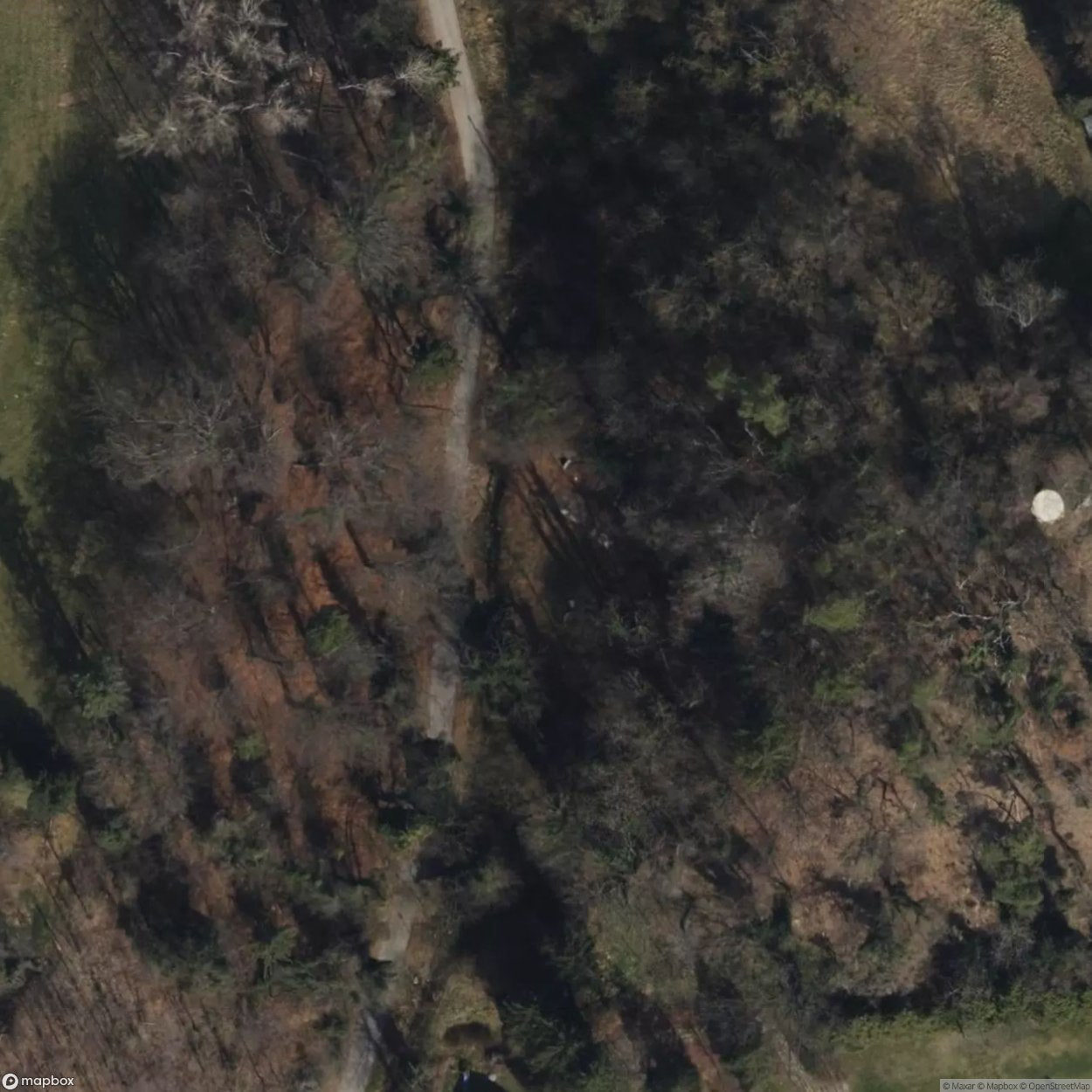 House 2663 [OTHER] [AUT]