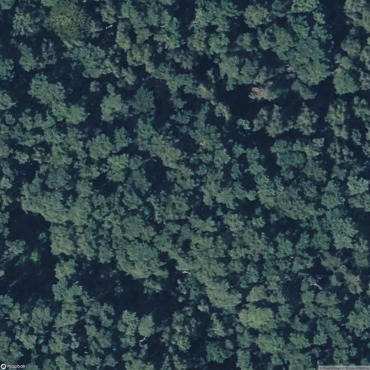 Besenhorster Sand Hills and Elbe Sand Meadows [DEU]