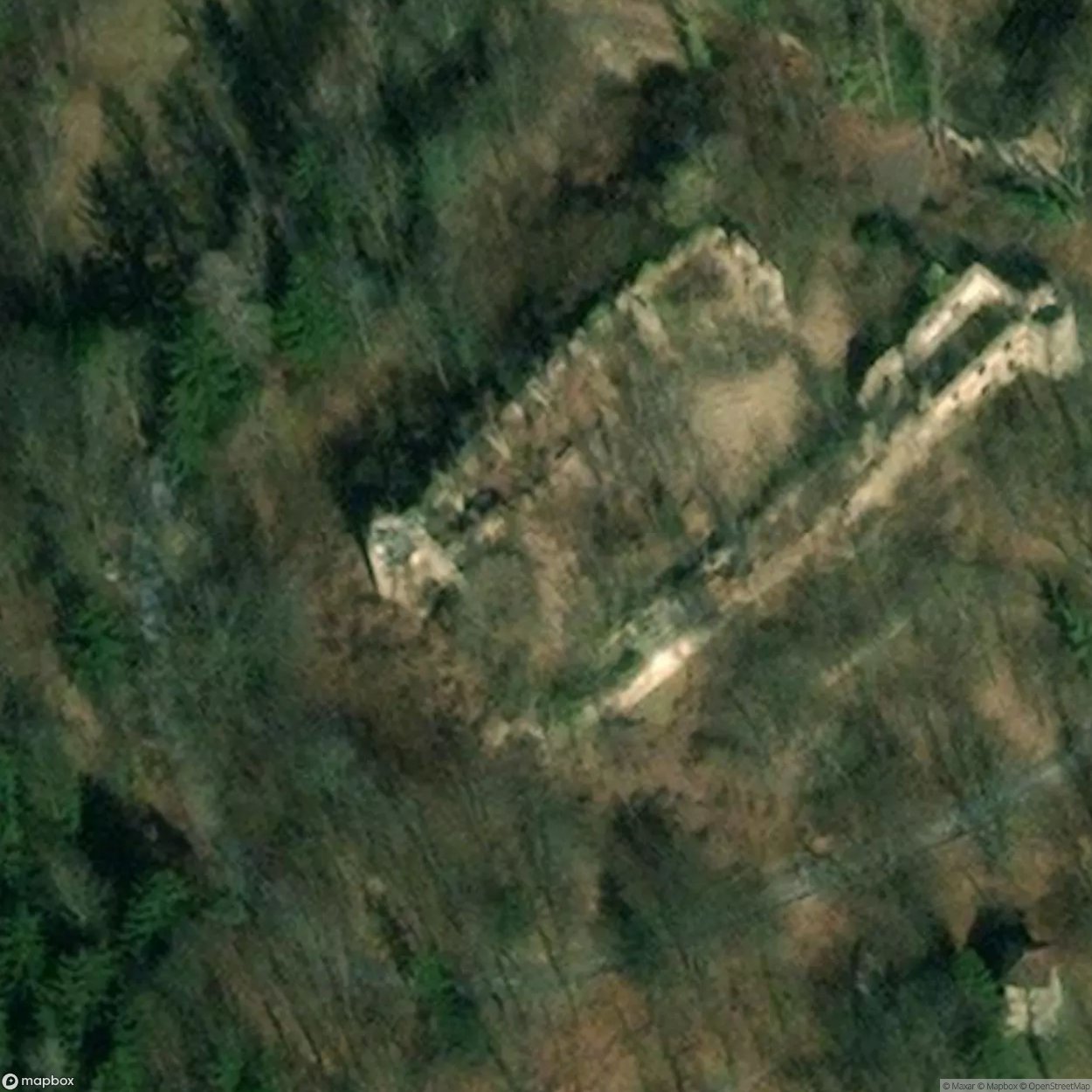 Castle Ruin Barnegg Other [AUT] #02209
