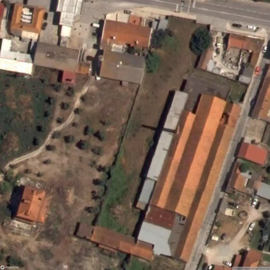 Bacalhau Party [PRT]