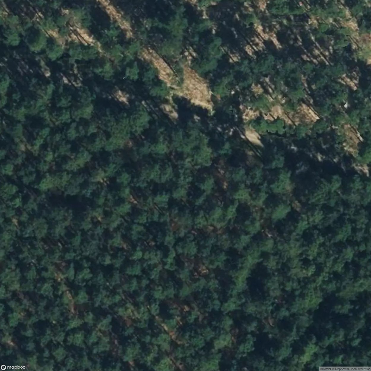 Bahlsen Family Hunting Lodge [DEU]