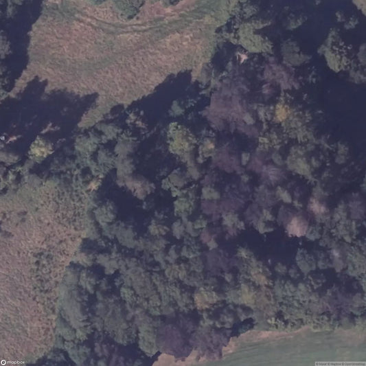 Children's Sanatorium 2 [DEU]