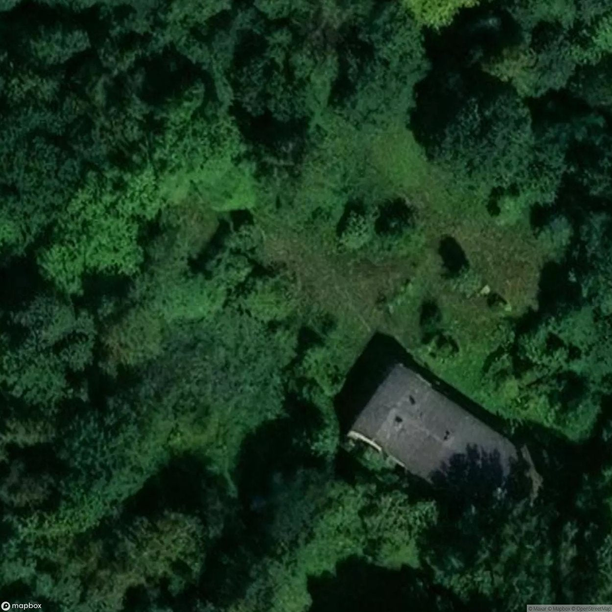 Manor House Manor [POL] #24064