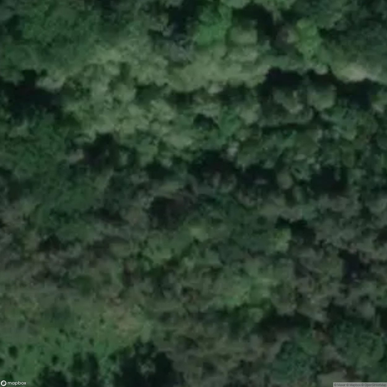 Vampire Graveyard [POL]