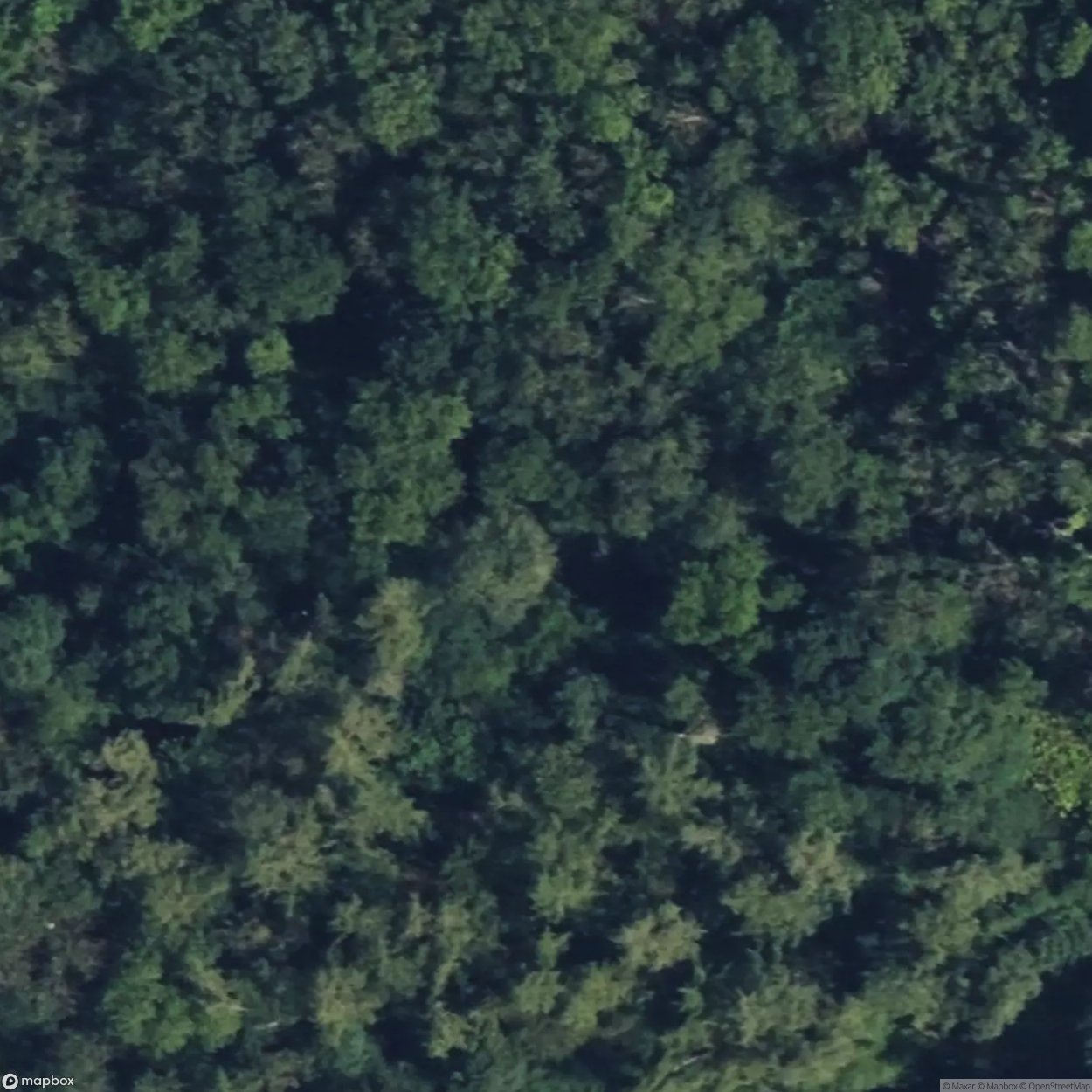 Wormhill Springs 1 [GBR]