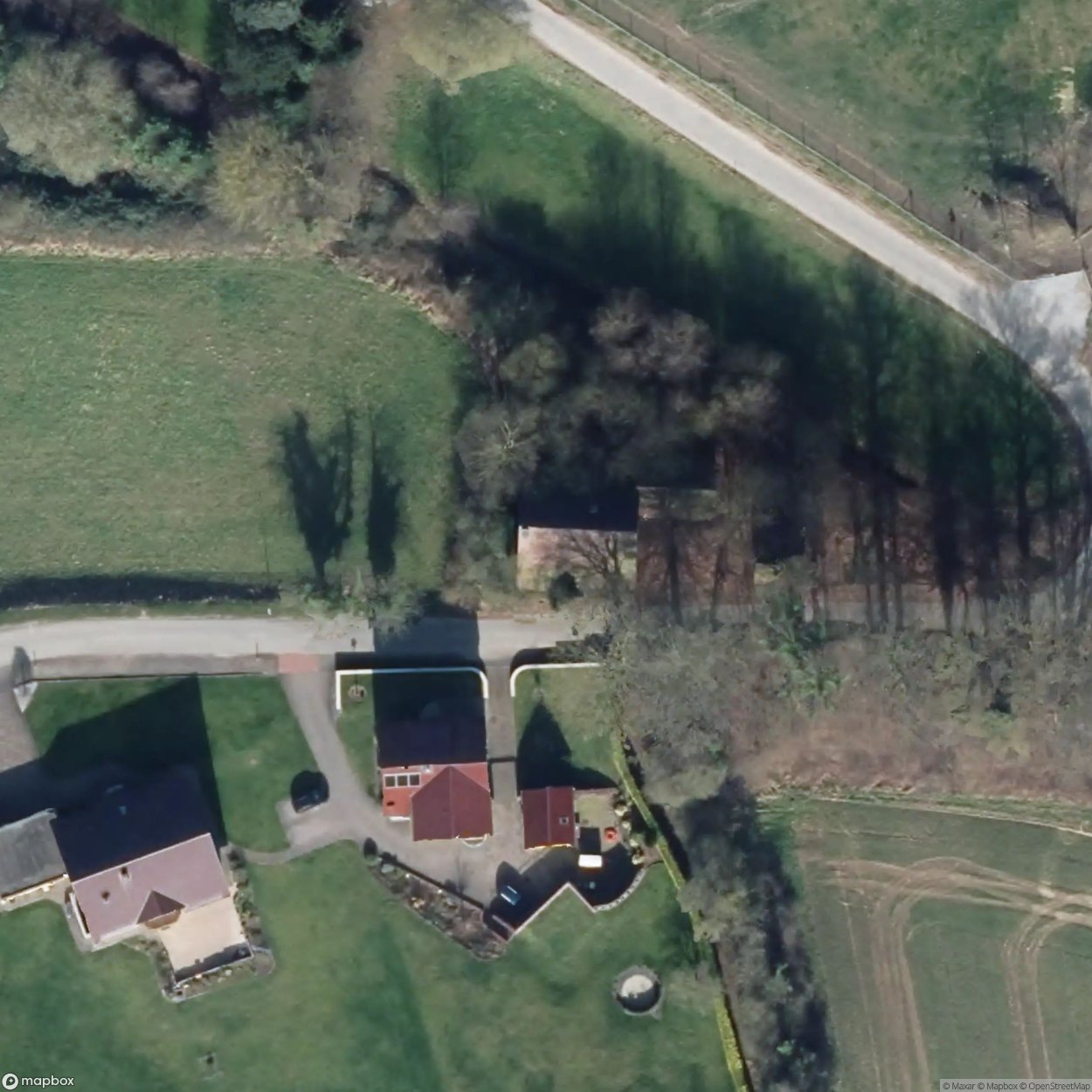 House of the Dead Cat [DEU]