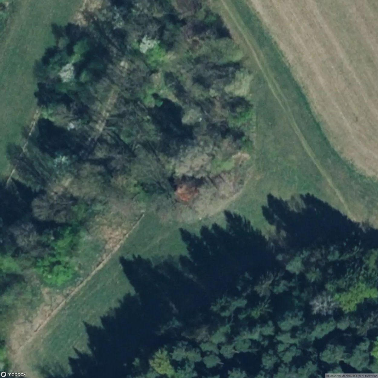 House 2667 [OTHER] [AUT]