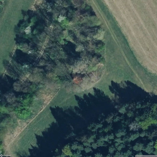 House 2667 [OTHER] [AUT]